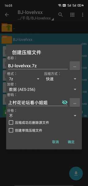 韩国-BJ-lovelvxx-裸舞-【27v/3.8GB】百度云-自行打包