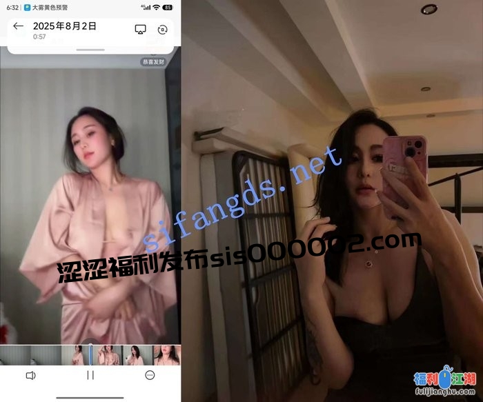 【抖音】L.露 1000场会议合集 加高价定制 36V[某房原版]【4.17G】